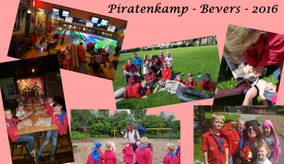 Bever kamp 2016